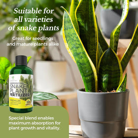 Leaves and Soul root growth close-up shows healthier root systems
