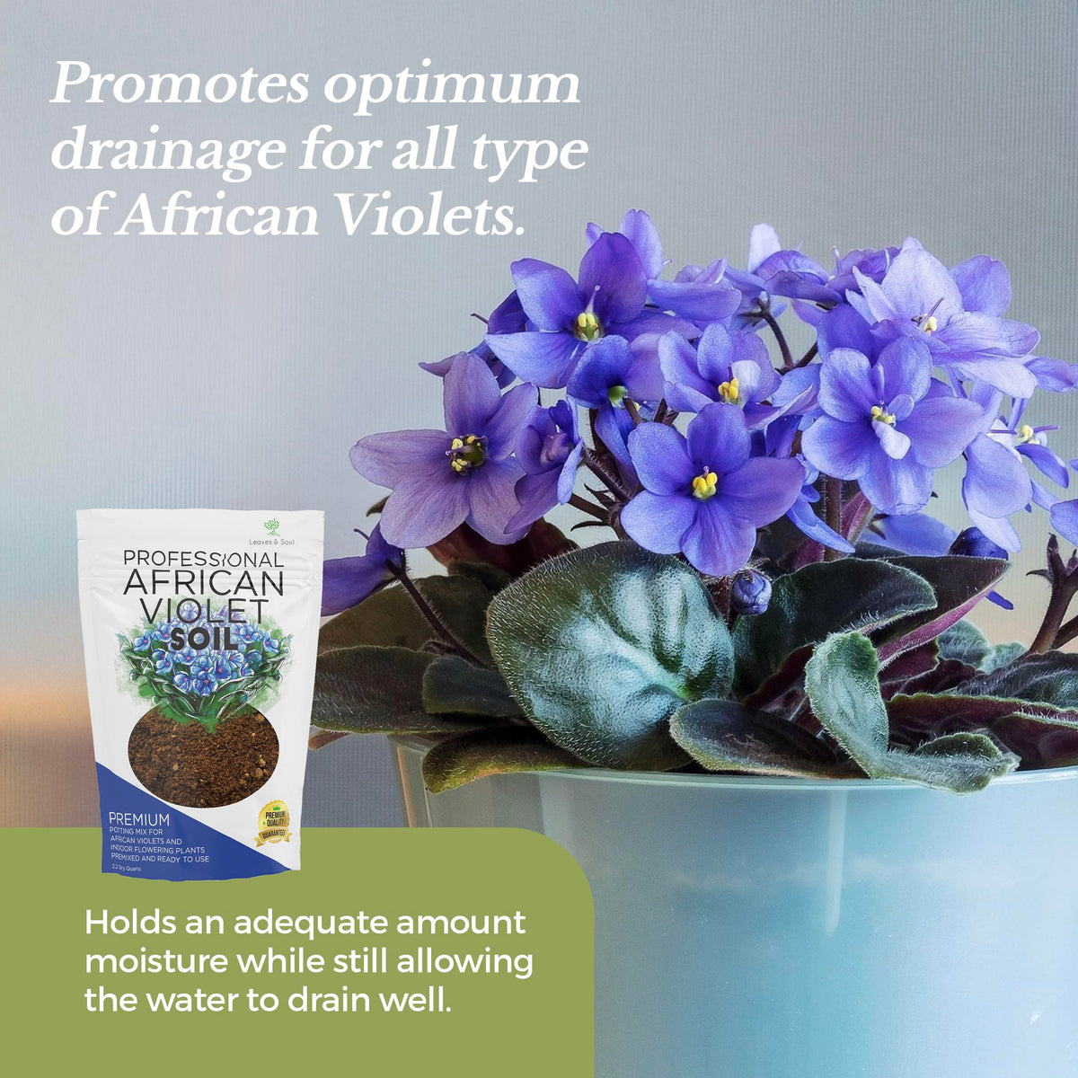 Leaves and Soul root-supporting mix promotes healthy African Violet growth