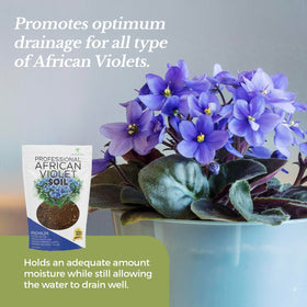 Leaves and Soul root-supporting mix promotes healthy African Violet growth