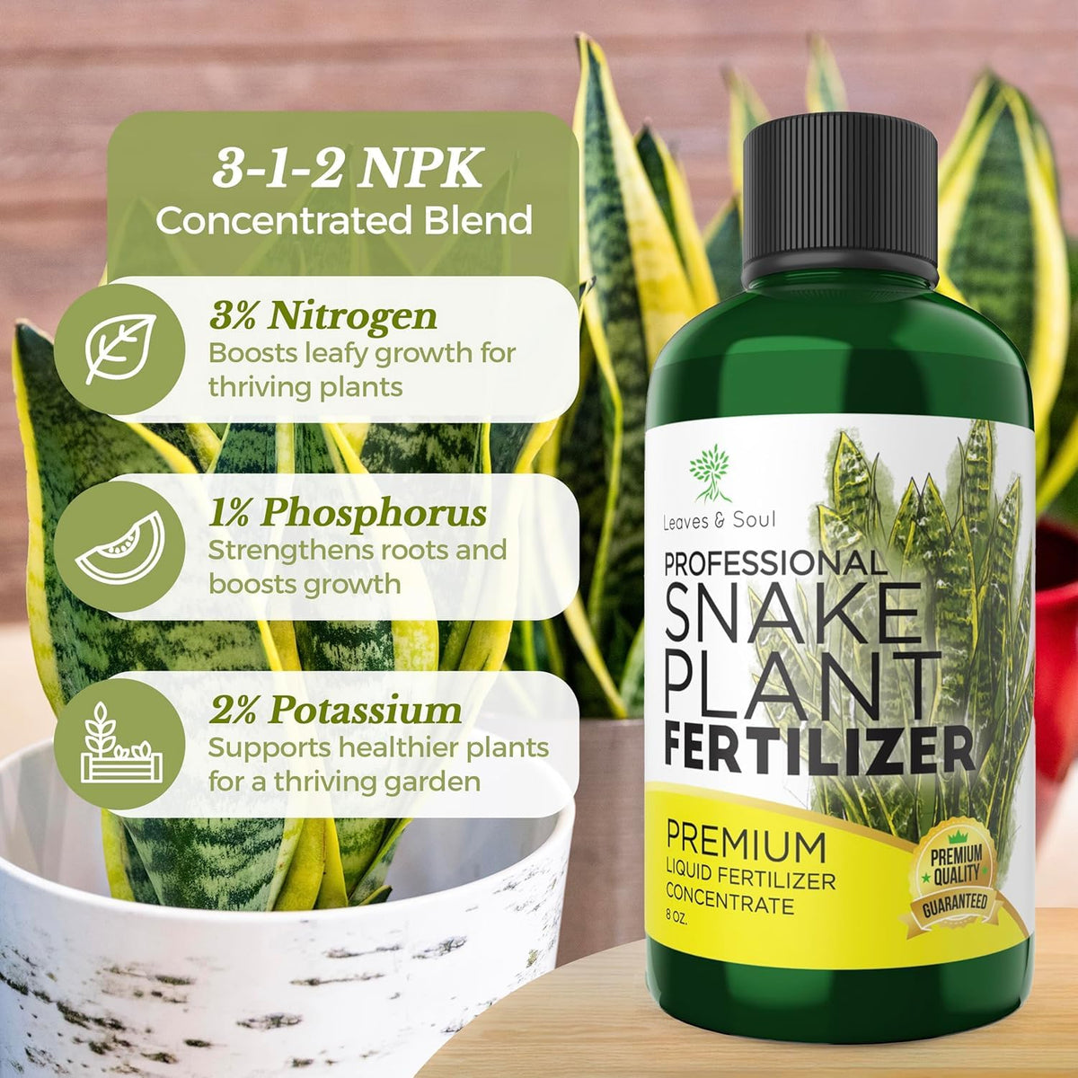 Leaves and Soul snake plant fertilizer bottle pour highlights quick uptake during watering
