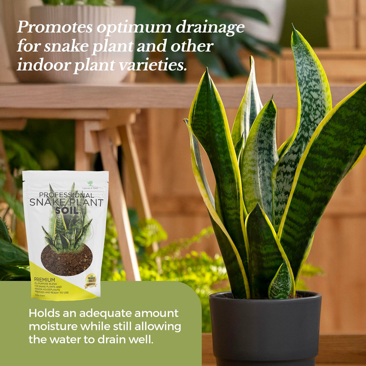 Leaves and Soul soil ingredients with aeration-enhancing perlite and coco coir