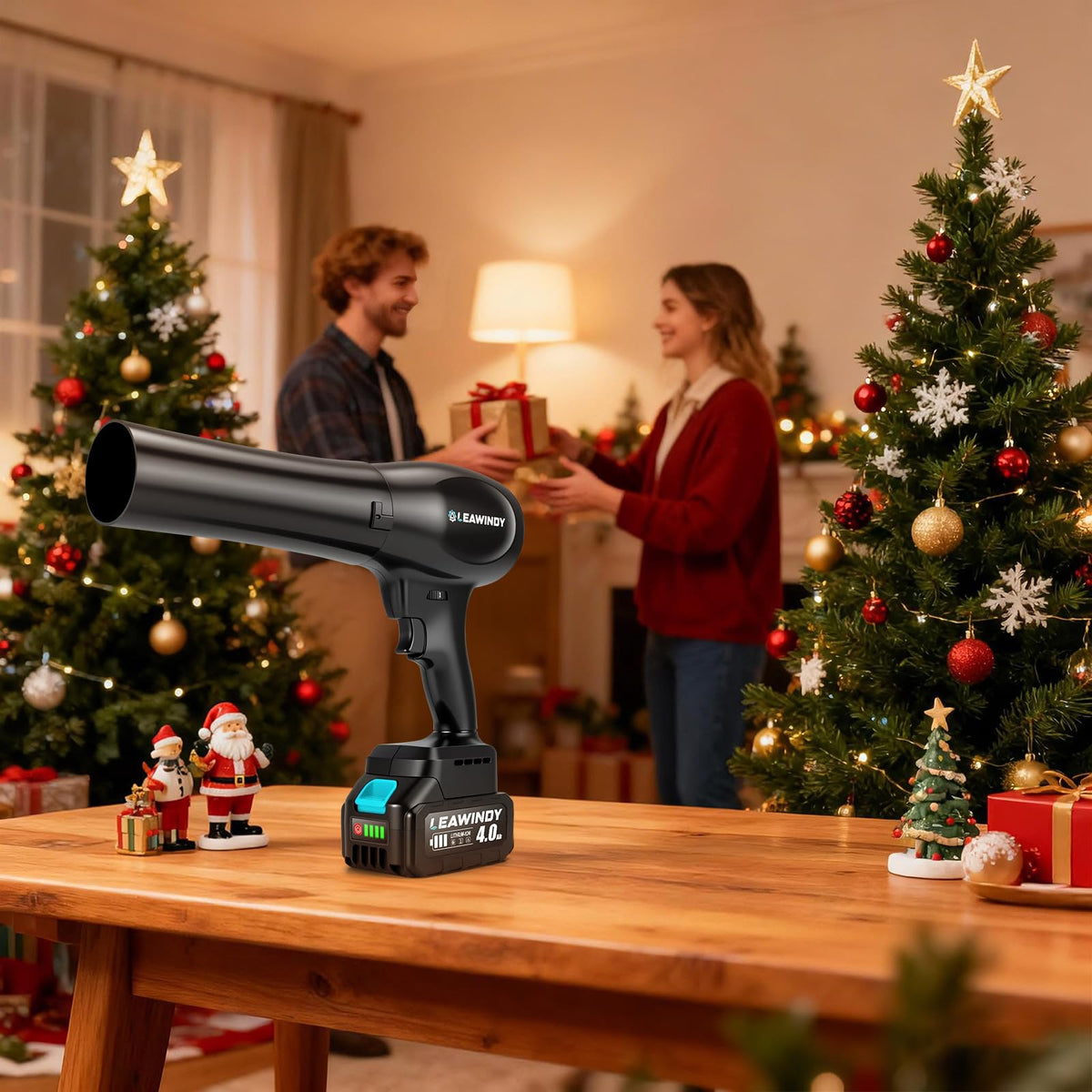 LEAWINDY patio and driveway cleaning with powerful cordless performance.