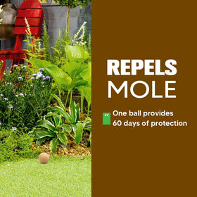 LEBMP long-lasting formula offers up to 60 days of yard protection.