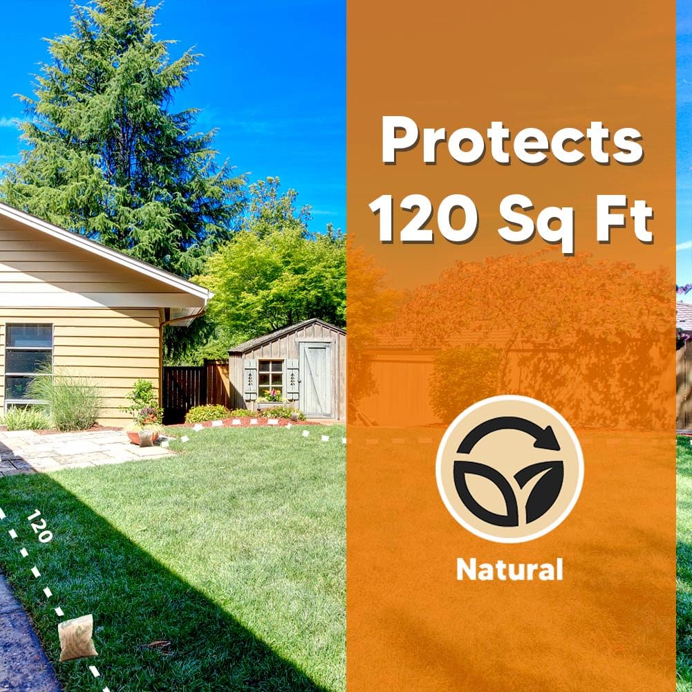 LEBMP long-lasting prevention solution for safer outdoor spaces.