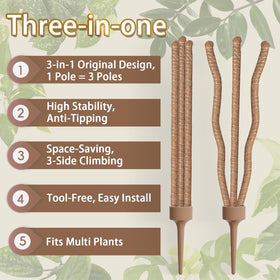 LECAMEBOR bendable monstera poles enable customizable training and vertical growth.