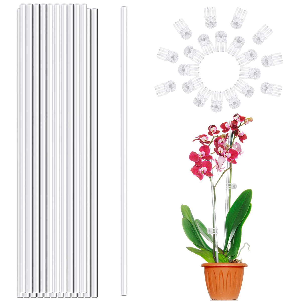 LECAMEBOR clear plant stake 16 inch supports orchid stems upright.