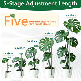 LECAMEBOR green coated stake blends with foliage on indoor plants