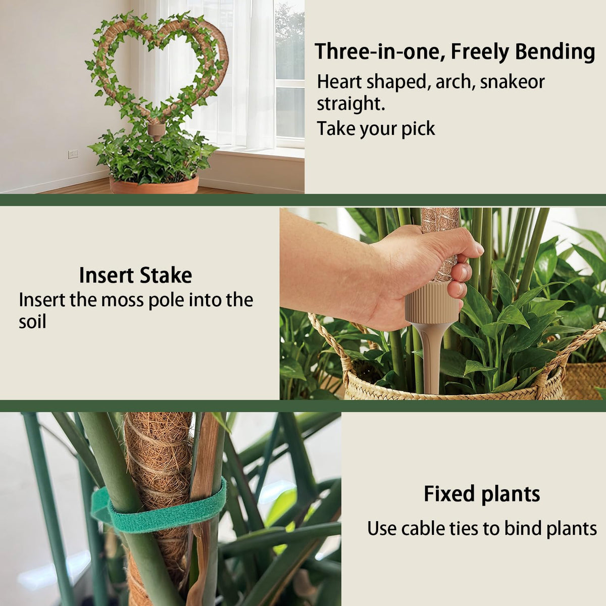 LECAMEBOR indoor plant stakes support vines like pothos and philodendron.