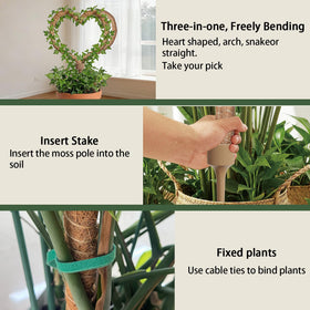LECAMEBOR indoor plant stakes support vines like pothos and philodendron.