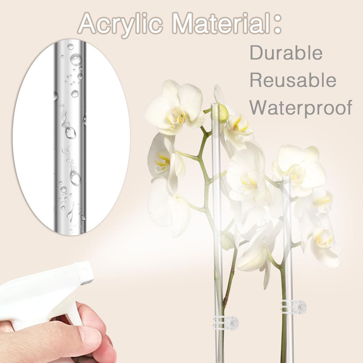 Orchid supported by transparent stake for neat appearance.