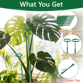 LECAMEBOR five-pack provides durable supports for multiple plants