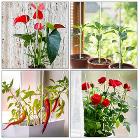 LECAMEBOR potted plant stake collection is durable and reusable
