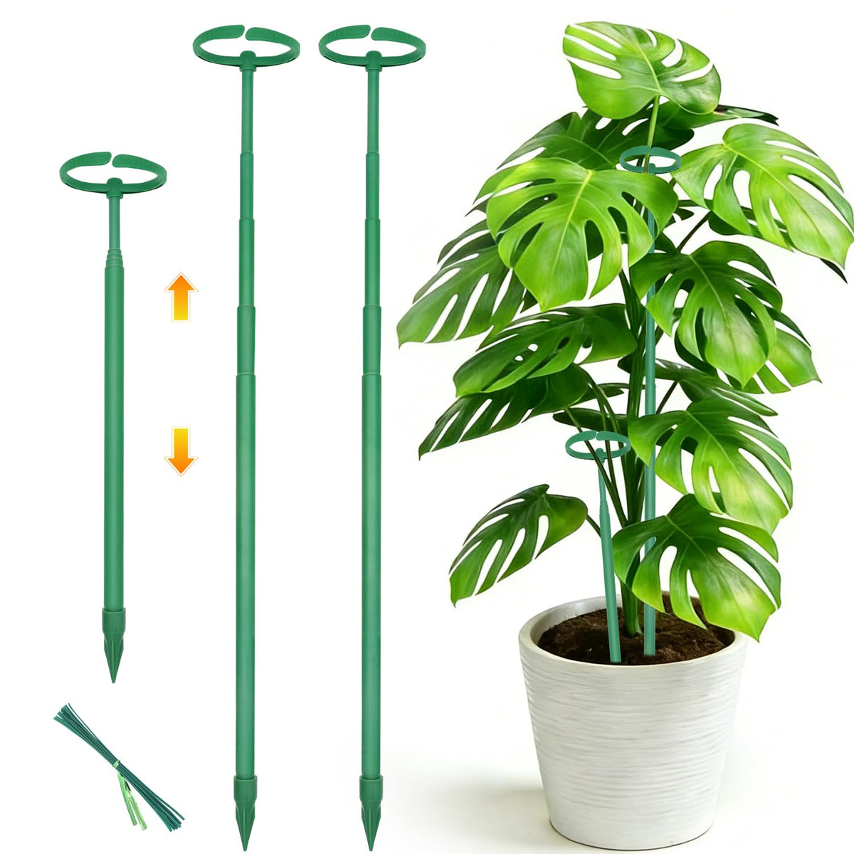 lecamebor telescoping monstera stake extended to support tall indoor plants.