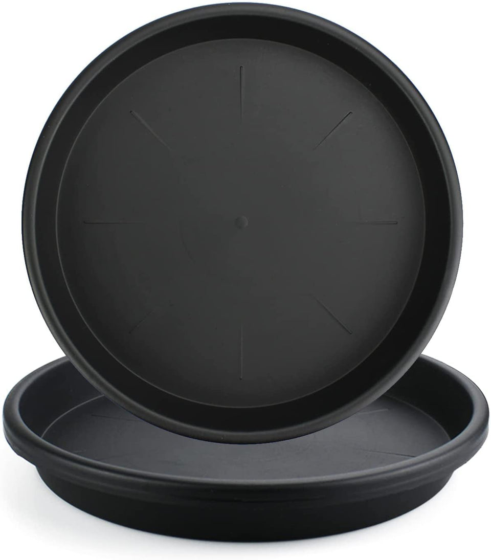 Lechay black 12-inch plant saucer under a pot to prevent spills.