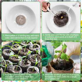 Legigo 1020 tray-ready pellets for organized seed starting