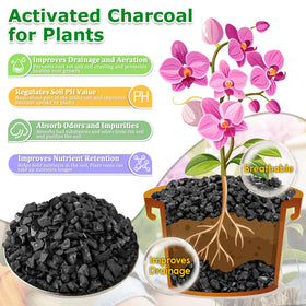 Legigo bonsai-mix closeup demonstrates root-friendly texture promoting air flow in bonsai soils.