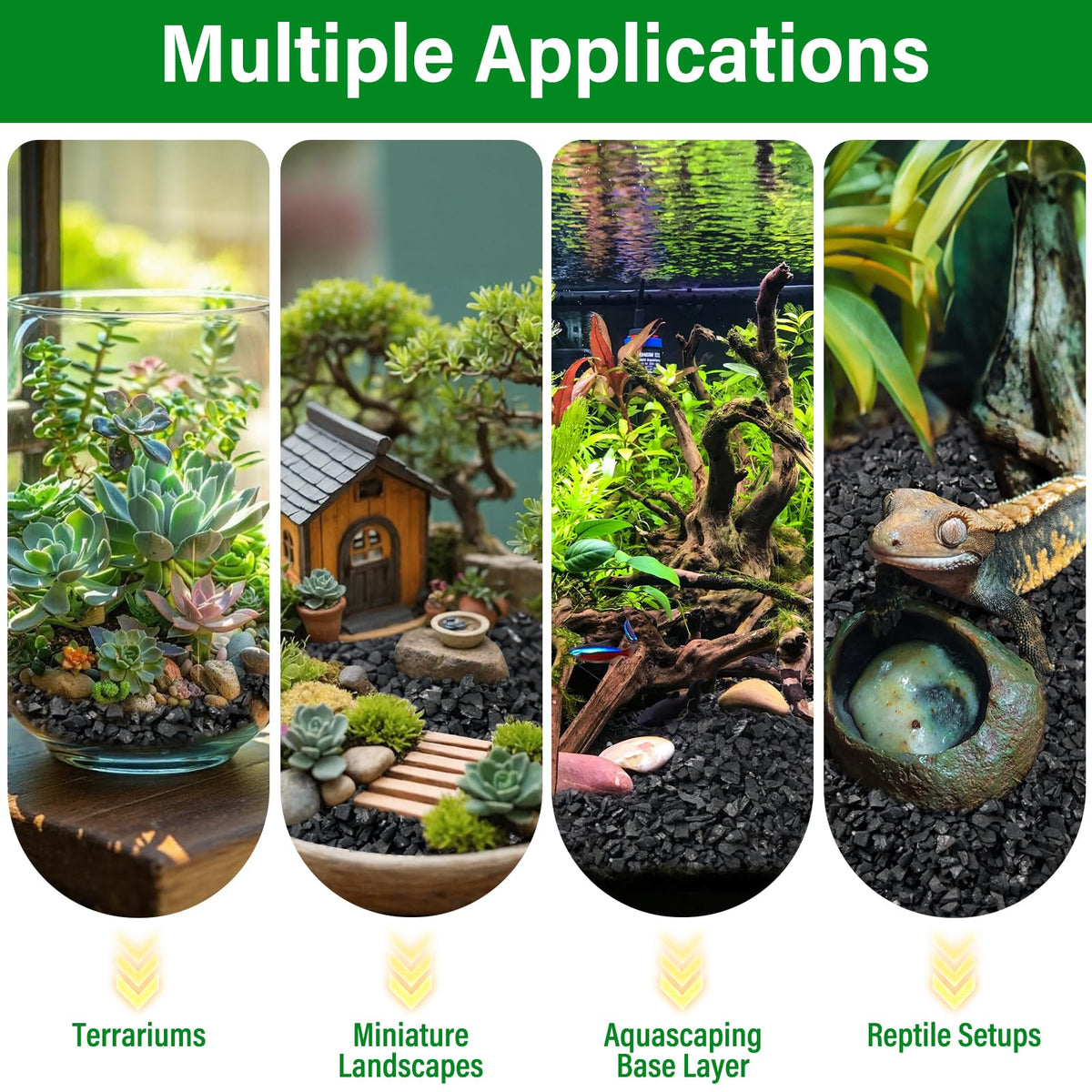 Legigo houseplants setup shows moisture management and healthier root environment in indoor pots.