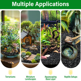 Legigo houseplants setup shows moisture management and healthier root environment in indoor pots.