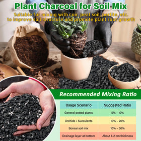 Legigo orchid-soil mix illustrates proper drainage for epiphytic orchids.