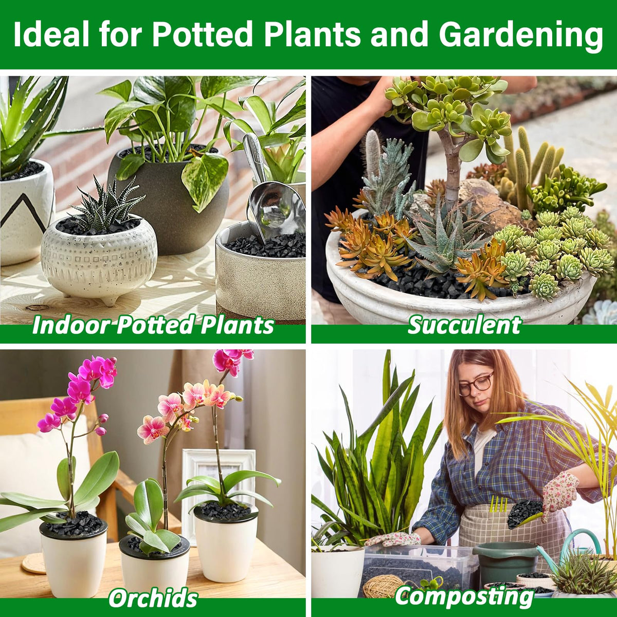 Legigo succulent-potting closeup emphasizes fast-draining substrate to help prevent overwatering.