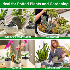 Legigo succulent-potting closeup emphasizes fast-draining substrate to help prevent overwatering.