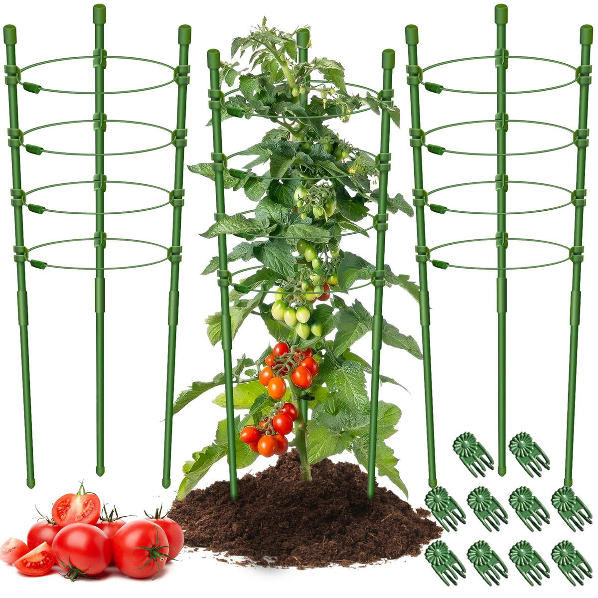 Legigo 3-pack plant support cages around a 36-inch tomato plant for upright growth