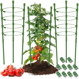 Legigo 3-pack plant support cages around a 36-inch tomato plant for upright growth