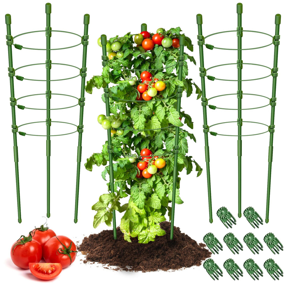 Legigo 3 Pack 30-Inch Plant Cages support tomatoes for upright growth