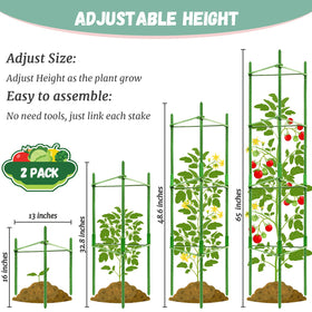 Legigo 48in garden stakes provide vertical support for tall tomato vines.