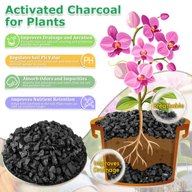 Legigo 6QT charcoal mixed into soil for lighter, well draining substrate