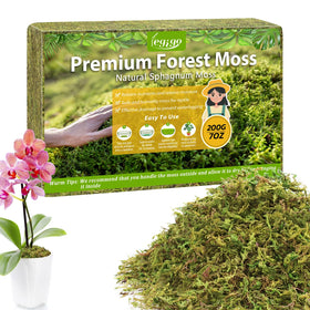 Legigo 7oz sphagnum moss brick green for healthy orchid root growth