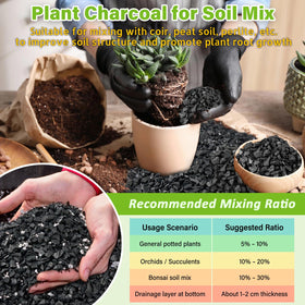 Legigo 8QT horticultural-charcoal-orchid-media provides drainage and air for epiphytic orchids.