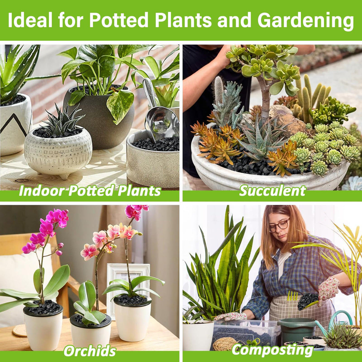 Legigo 8QT horticultural-charcoal-terrarium-bottom-layer supports humidity control and airflow.