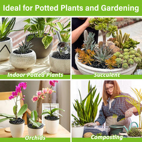 Legigo 8QT horticultural-charcoal-terrarium-bottom-layer supports humidity control and airflow.