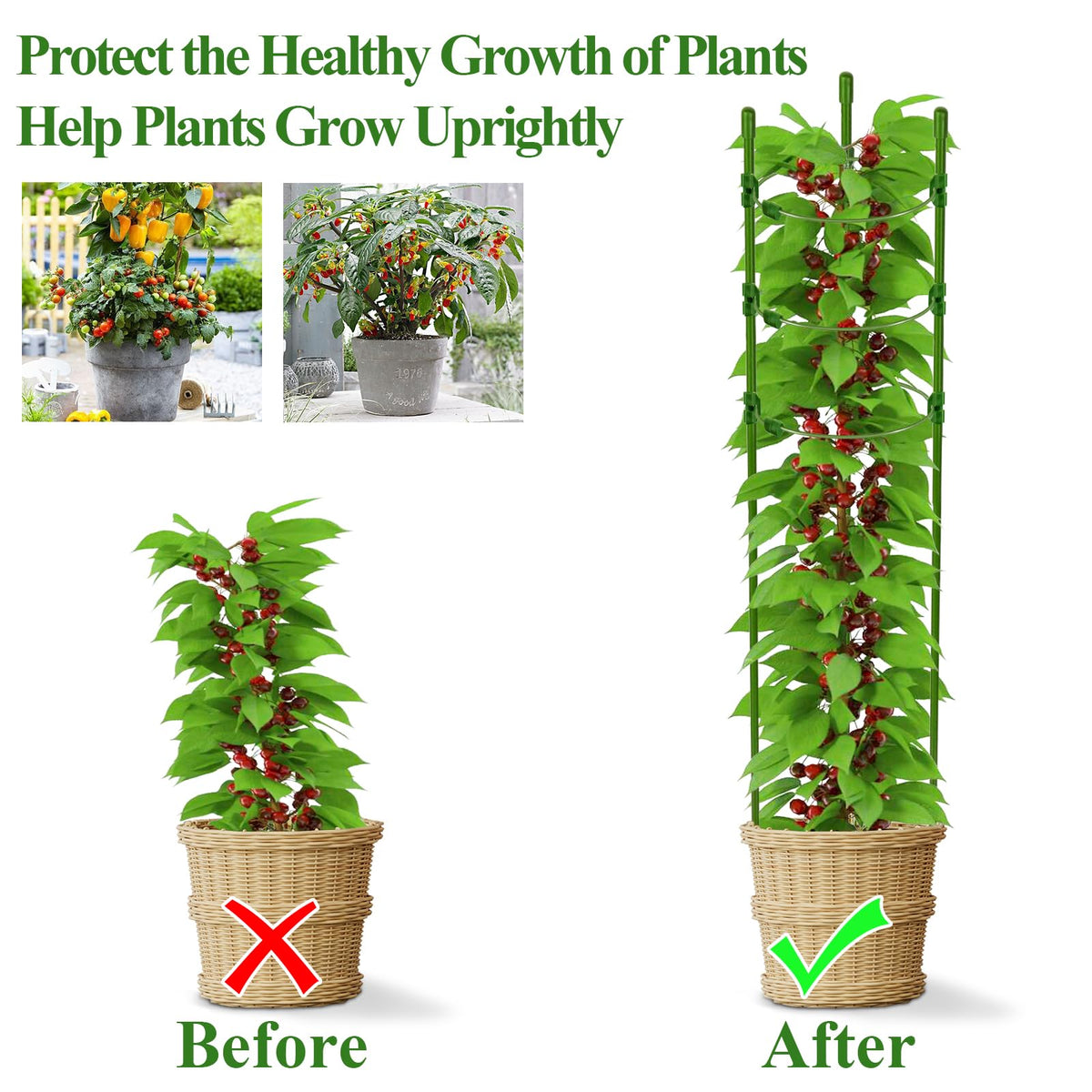 Legigo adjustable rings resize as plants grow taller