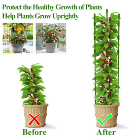 Legigo adjustable rings resize as plants grow taller