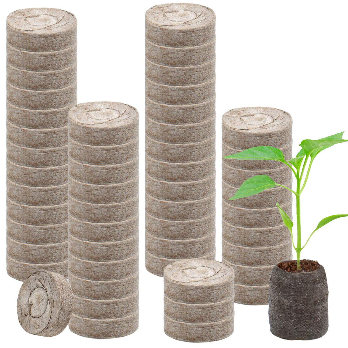 Legigo all-in-one germination to transplant image for vegetables and herbs