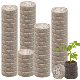 Legigo all-in-one seed starter design streamlines sowing to transplanting.