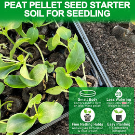 Legigo biodegradable mesh seed pods show breathable design aiding root growth and clean transplanting