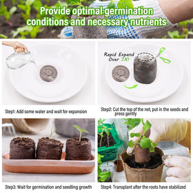 Legigo biodegradable net coco coir pellets protect delicate roots.