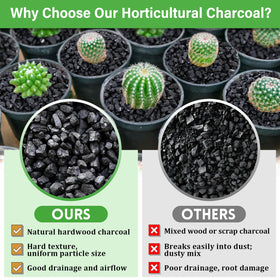 Charcoal-enhanced bonsai soil promoting root aeration