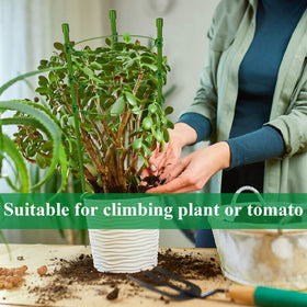 Legigo bottom-tip design eases soil insertion without harming roots.