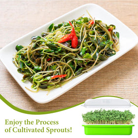 Legigo BPA-free, food-grade PP construction ensures safe, reusable use.