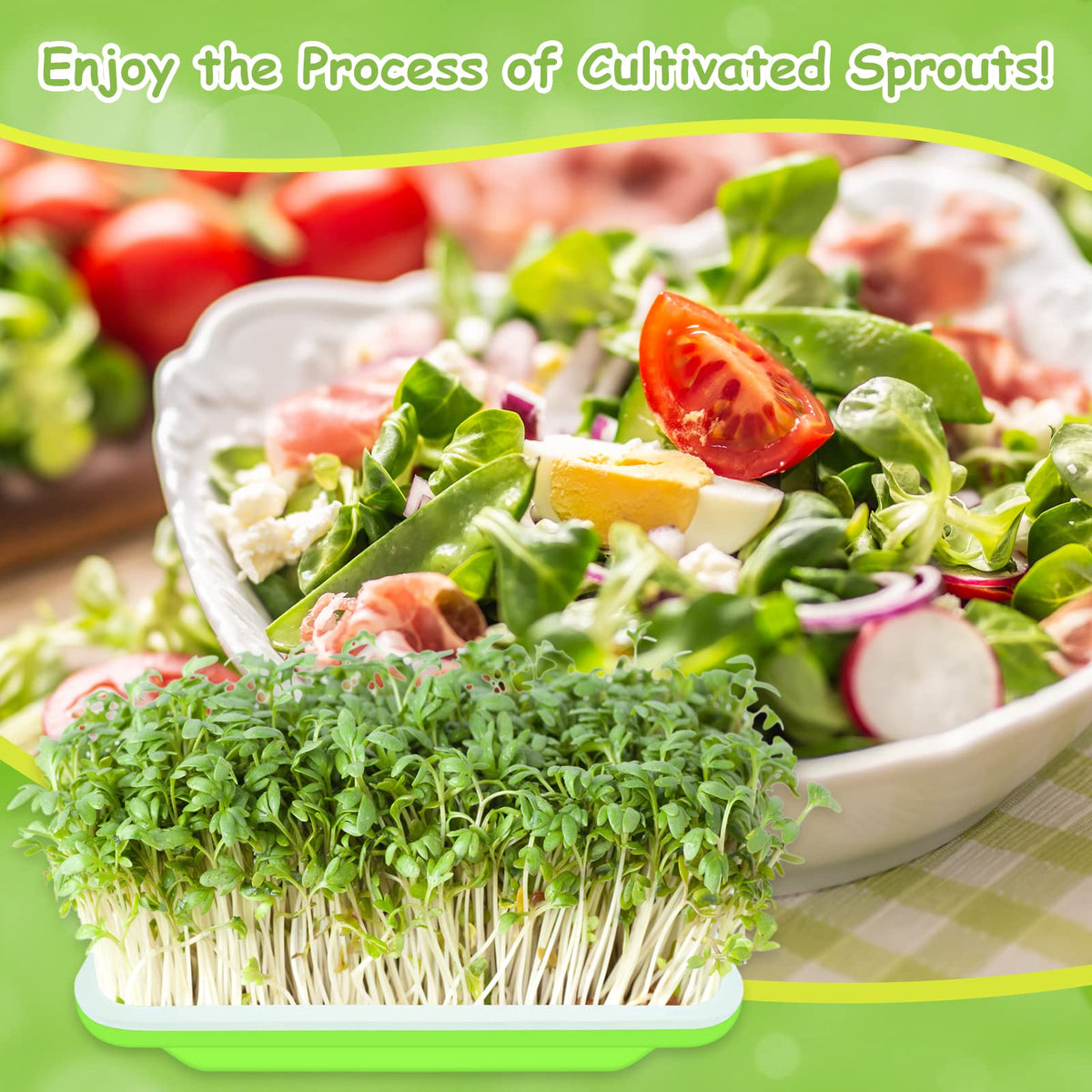 Legigo BPA-free material ensures safe, reusable sprouter trays.