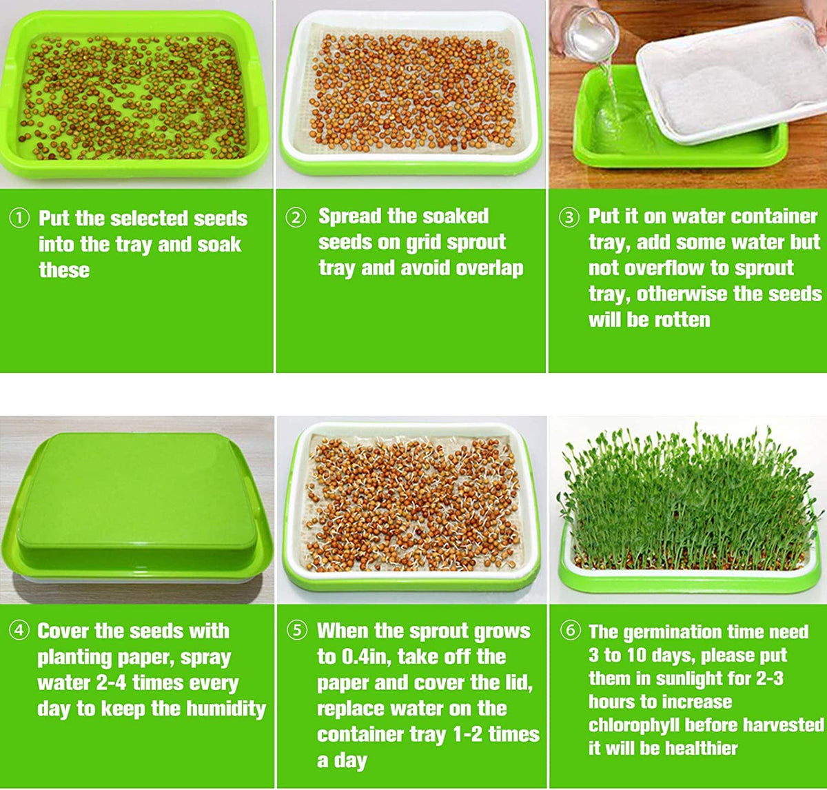 Legigo BPA-free seed sprouting trays offer a safe, durable, easy-to-clean garden starter.