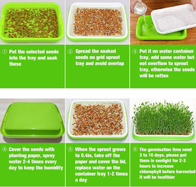 Legigo BPA-free seed sprouting trays offer a safe, durable, easy-to-clean garden starter.