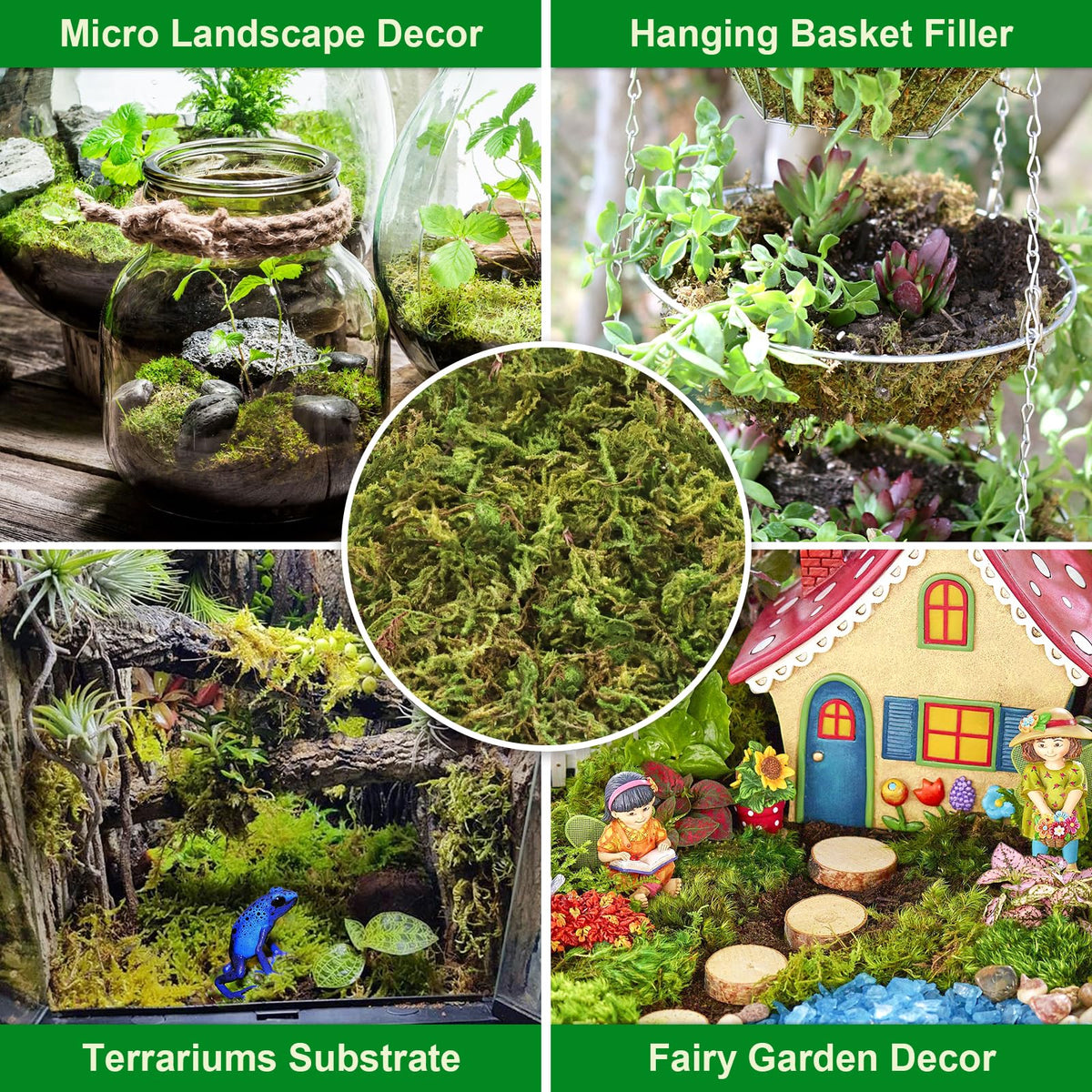 Legigo moss supports carnivorous and tropical plant care with moisture