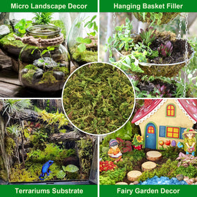 Legigo moss supports carnivorous and tropical plant care with moisture