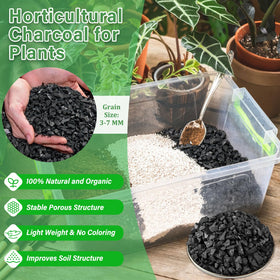 Legigo charcoal granules 3-7 mm close-up for soil structure.