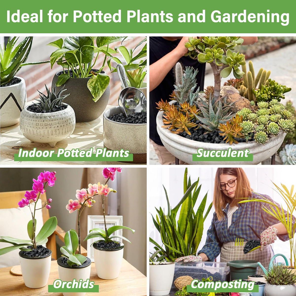 Legigo orchid terrarium use promotes adequate moisture and air circulation for orchids.